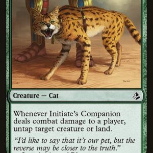 Amonkhet - 174 - Initiate's Companion - Common - G - Non-foil