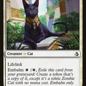 Amonkhet - 27 - Sacred Cat - Common - W - Non-foil
