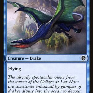 Dominaria United - 66 - Soaring Drake - Common - U - Non-foil