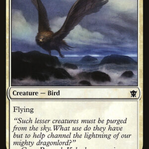 Dragons of Tarkir - 43 - Territorial Roc - Common - W - Non-foil