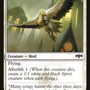 Ravnica Allegiance - 25 - Syndicate Messenger - Common - W - Non-foil (Front)