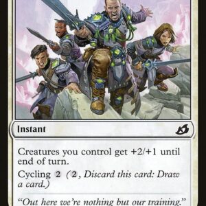 Ikoria: Lair of Behemoths - 6 - Coordinated Charge - Common - W - Non-foil (Front)