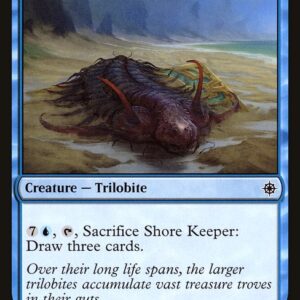 Ixalan - 77 - Shore Keeper - Common - U - Non-foil