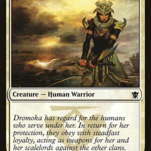 Dragons of Tarkir - 14 - Dromoka Warrior - Common - W - Non-foil