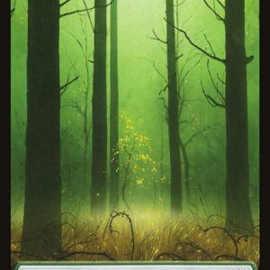 Double Masters - 381 - Forest - Common - C - Non-foil