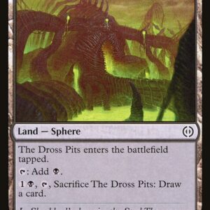 Phyrexia: All Will Be One - 251 - The Dross Pits - Common - C - Foil