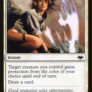 Modern Horizons - 28 - Shelter - Common - W - Non-foil