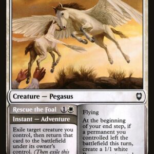Commander Legends: Battle for Baldur's Gate - 36 - Pegasus Guardian // Rescue the Foal - Common - W - Foil