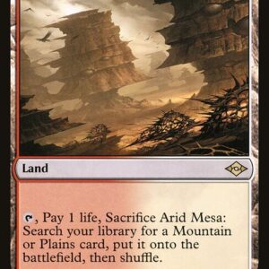 Modern Horizons 2 - 244 - Arid Mesa - Rare - C - Foil