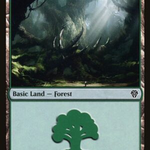 Dominaria United - 276 - Forest - Common - C - Non-foil