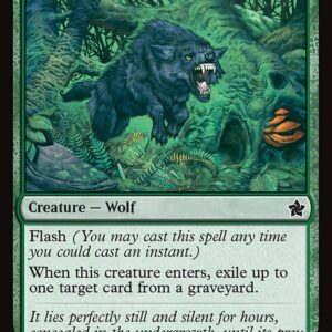 Foundations - 98 - Ambush Wolf - Common - G - Non-foil