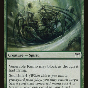 Champions of Kamigawa - 248 - Venerable Kumo - Common - G - Non-foil (Front)