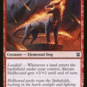 Zendikar Rising - 133 - Akoum Hellhound - Common - R - Non-foil