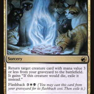 Innistrad: Midnight Hunt - 213 - Can't Stay Away - Rare - WB - Foil