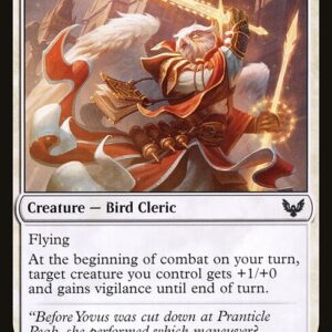 Strixhaven: School of Mages - 11 - Combat Professor - Common - W - Non-foil