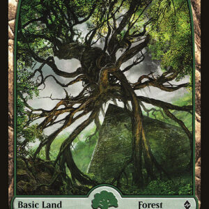 Battle for Zendikar - 273 - Forest - Common - C - Non-foil