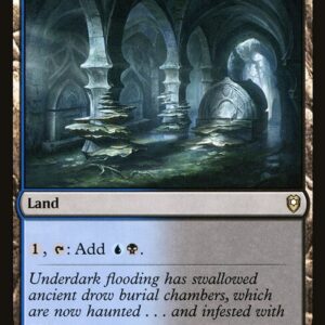 Commander Legends: Battle for Baldur's Gate - 889 - Darkwater Catacombs - Rare - C - Non-foil