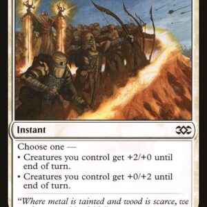 Double Masters - 17 - Fortify - Common - W - Non-foil