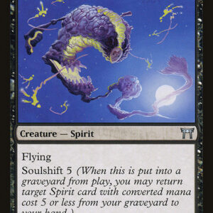 Champions of Kamigawa - 119 - Kami of Lunacy - Uncommon - B - Non-foil (Front)
