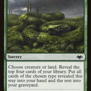 Modern Horizons - 193 - Winding Way - Common - G - Non-foil