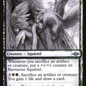 Modern Horizons 2 - 375 - Ravenous Squirrel - Uncommon - BG - Non-foil