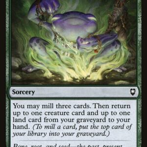 Commander Legends: Battle for Baldur's Gate - 227 - Druidic Ritual - Common - G - Non-foil