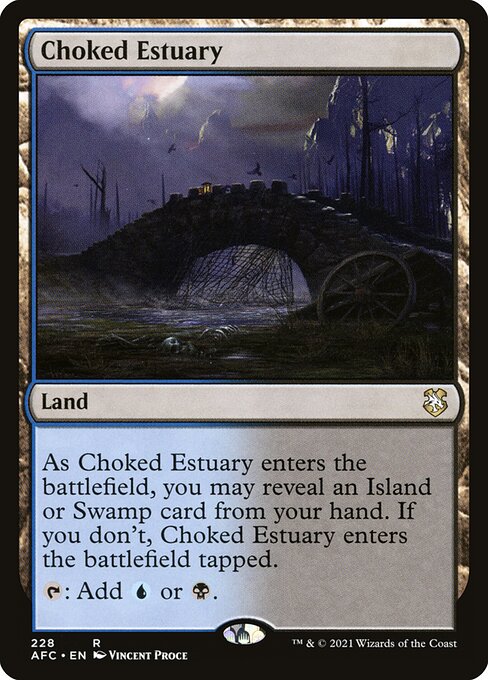 Forgotten Realms Commander - 228 - Choked Estuary - Rare - C - Non-foil (Front)