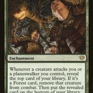 Dark Ascension - 123 - Lost in the Woods - Rare - G - Non-foil (Front)