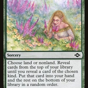 Modern Horizons 2 - 147 - Abundant Harvest - Common - G - Foil