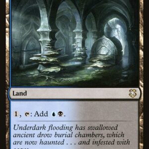 Forgotten Realms Commander - 232 - Darkwater Catacombs - Rare - C - Non-foil (Front)