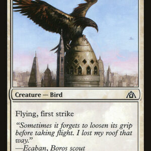 Dragon's Maze - 8 - Steeple Roc - Common - W - Non-foil (Front)