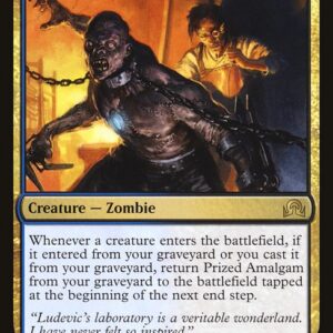 Shadows over Innistrad - 249 - Prized Amalgam - Rare - UB - Non-foil