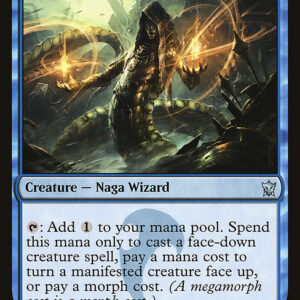 Dragons of Tarkir - 71 - Qarsi Deceiver - Uncommon - U - Non-foil