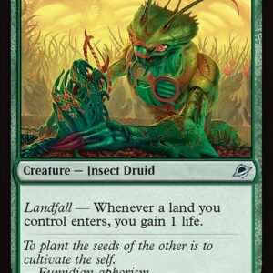 Edge of Eternities - 180 - Eumidian Terrabotanist - Uncommon - G - Foil
