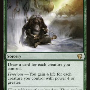 Midnight Hunt Commander - 143 - Shamanic Revelation - Rare - G - Non-foil (Front)