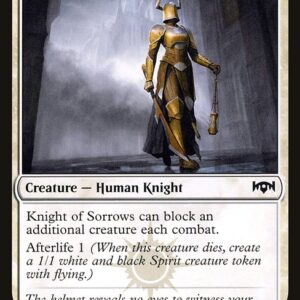 Ravnica Allegiance - 14 - Knight of Sorrows - Common - W - Non-foil (Front)