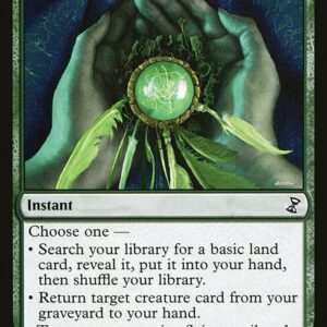Time Spiral Remastered - 202 - Evolution Charm - Common - G - Non-foil