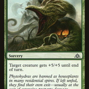 Dragon's Maze - 46 - Phytoburst - Common - G - Non-foil (Front)