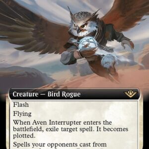 Outlaws of Thunder Junction - 309 - Aven Interrupter - Rare - W - Foil