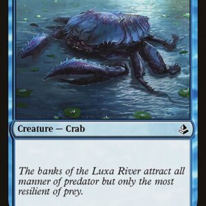 Amonkhet - 40 - Ancient Crab - Common - U - Non-foil