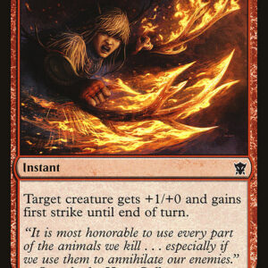 Dragons of Tarkir - 142 - Kindled Fury - Common - R - Non-foil