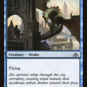 Dragon's Maze - 20 - Wind Drake - Common - U - Non-foil (Front)