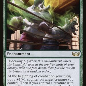 Streets of New Capenna - 145 - Fight Rigging - Rare - G - Foil