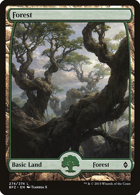 Battle for Zendikar - 274 - Forest - Common - C - Non-foil