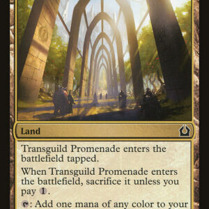 Return to Ravnica - 249 - Transguild Promenade - Common - C - Non-foil
