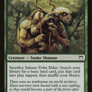 Champions of Kamigawa - 239 - Sakura-Tribe Elder - Common - G - Non-foil (Front)
