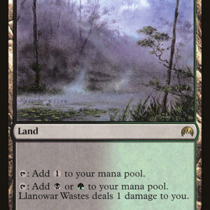 Magic Origins - 248 - Llanowar Wastes - Rare - C - Non-foil