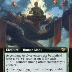 Neon Dynasty Commander - 64 - Ascendant Acolyte - Rare - G - Non-foil