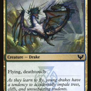 Strixhaven: School of Mages - 208 - Needlethorn Drake - Common - UG - Non-foil