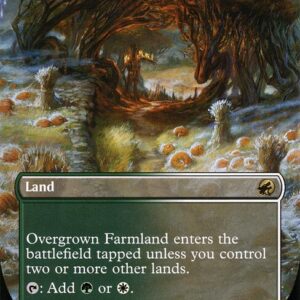 Innistrad: Midnight Hunt - 283 - Overgrown Farmland - Rare - C - Non-foil
